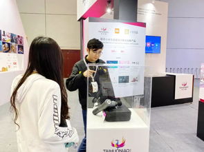 太火鳥科技展覽2019WIDC閃亮開展，設計服務與咨詢策劃再獲TIA設計大獎