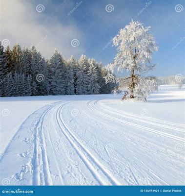 手機(jī)武動(dòng)九天店 打破傳統(tǒng)，引領(lǐng)消費(fèi)新潮流